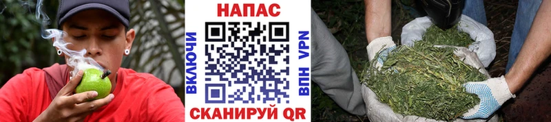 Шишки марихуана LSD WEED  цены   Юрьевец 